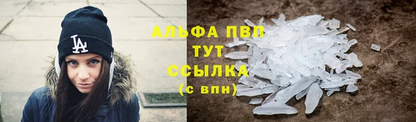 хмурый Нефтекумск