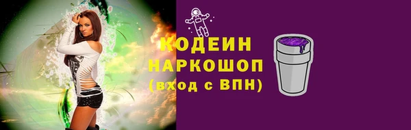 хмурый Нефтекумск
