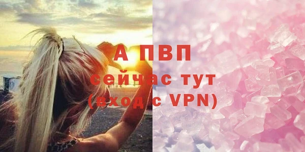 хмурый Нефтекумск