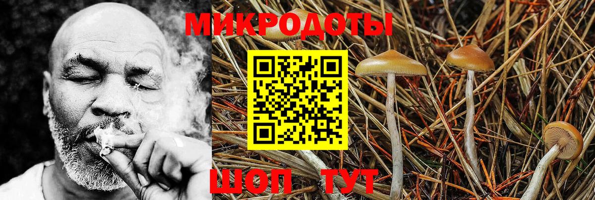 Псилоцибиновые грибы GOLDEN TEACHER  Вход с VPN  Калининград 