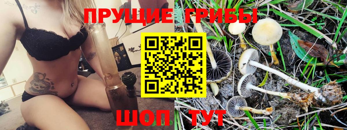Псилоцибиновые грибы Cubensis Калининград
